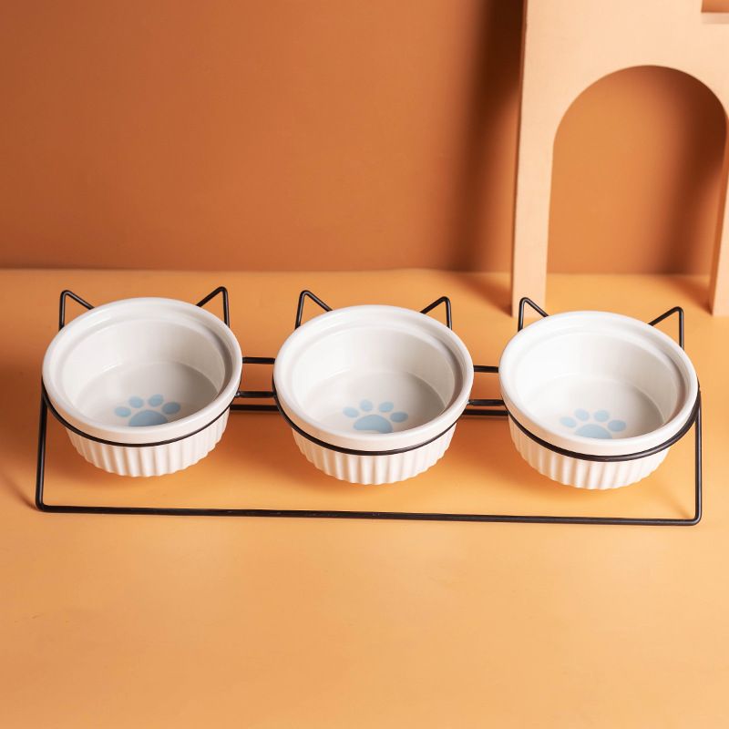 Triple Slanted Ceramic Pet Bowl Set with Elevated Iron Stand and Non Slip Base
