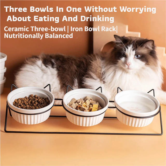 Triple Slanted Ceramic Pet Bowl Set with Elevated Iron Stand and Non Slip Base view 2