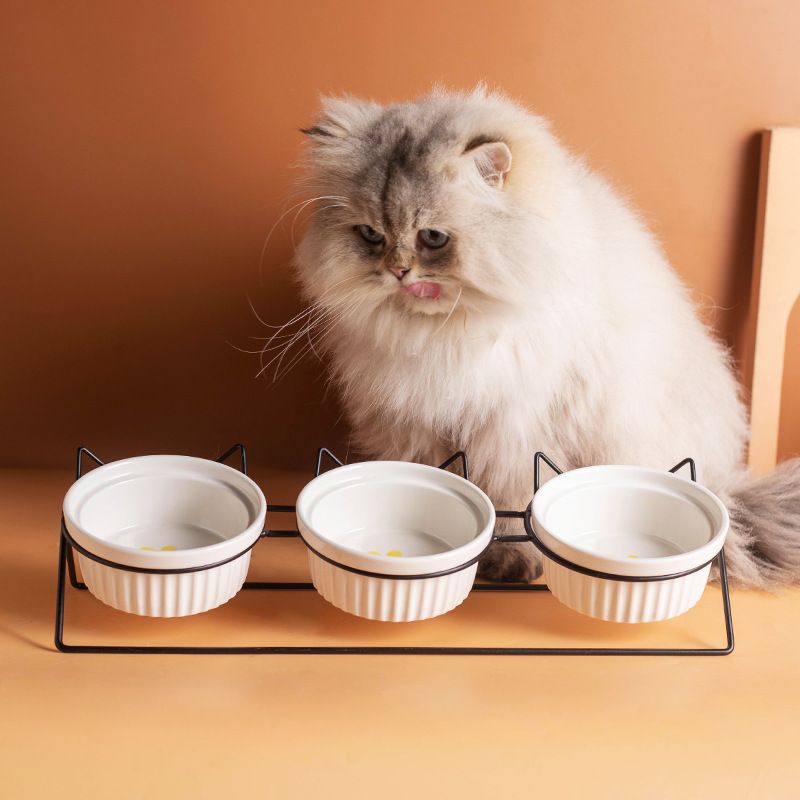 Triple Slanted Ceramic Pet Bowl Set with Elevated Iron Stand and Non Slip Base view 6