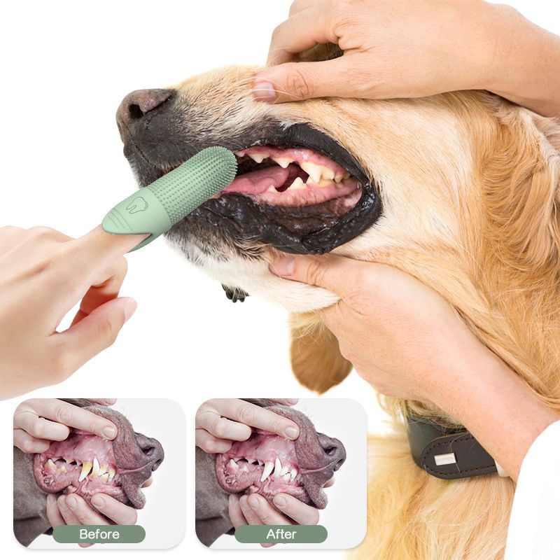 3-piece Blue and Green and Yellow Silicone Pet Finger Toothbrush for Cats and view 3
