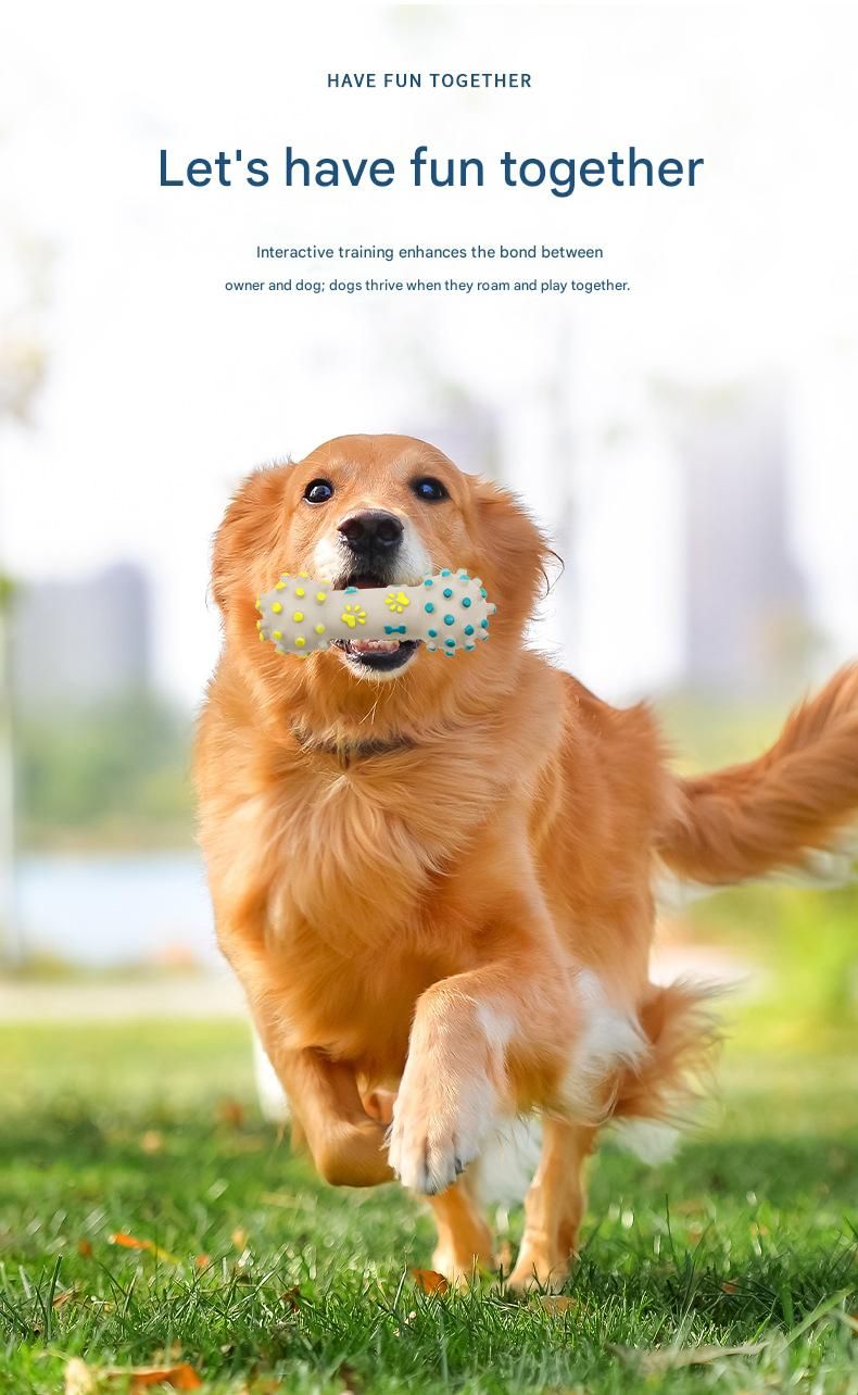 Yellow and Blue Spiked ring barbell Durable TPR Dog Chew Toys Set - for Teeth view 5