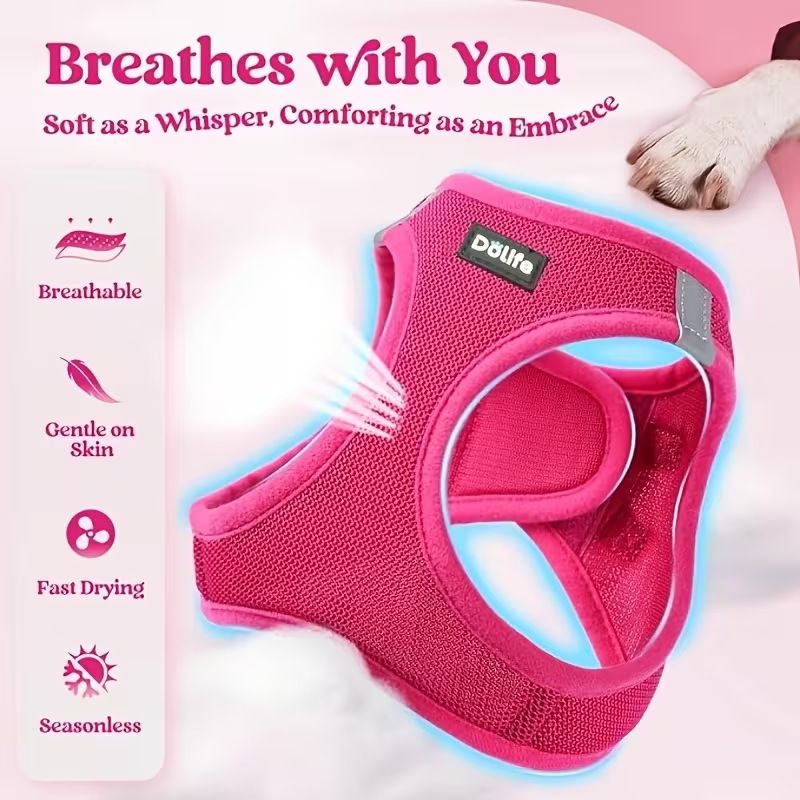 Blue Breathable Dog Harness and Leash Set - Adjustable Reflective Pet Vest view 2