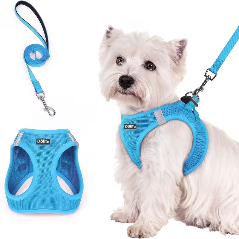 Blue Breathable Dog Harness and Leash Set - Adjustable Reflective Pet Vest — image 1