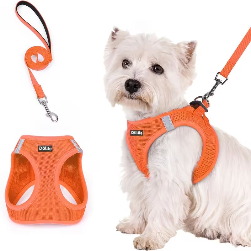 Orange Breathable Dog Harness and Leash Set - Adjustable Reflective Pet Vest — image 1