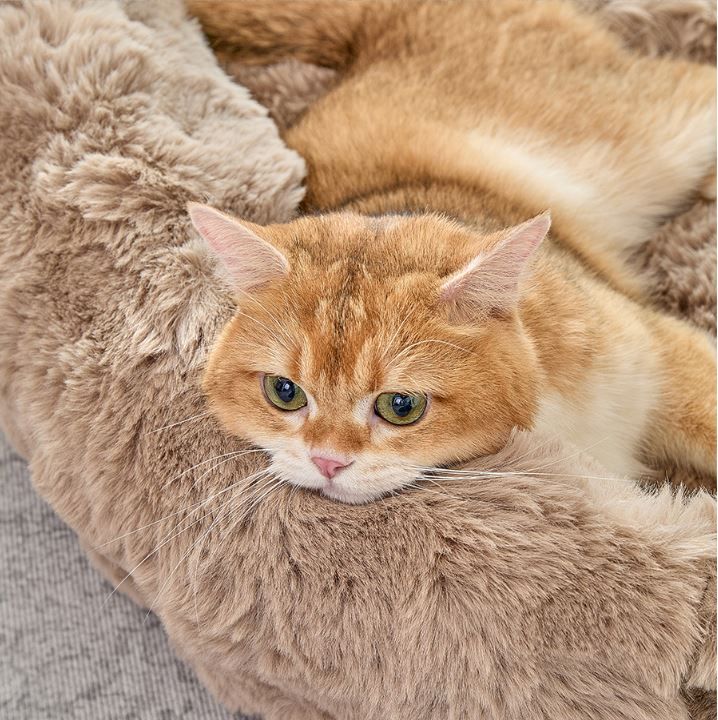 Brown Bubble Plush Pet Sofa Bed with Removable Cushion M Size 70*55*23 cm view 7