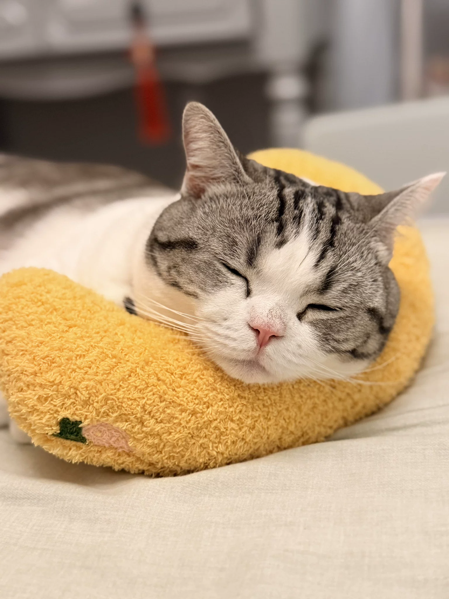 Yellow Pet U-Shaped Pillow - Soft Teddy Velvet Neck Support Cushion for Dogs view 8