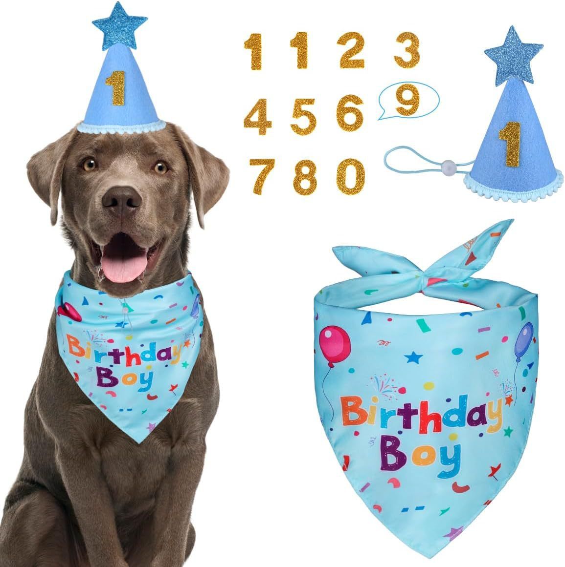 Blue Pet Birthday Bandana and Hat Set - Soft Cotton