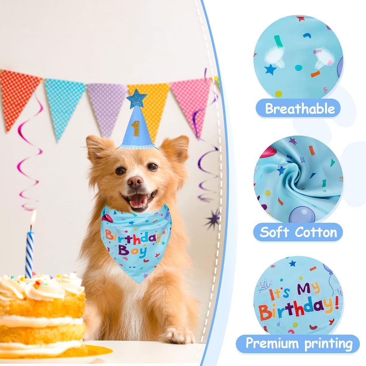 Blue Pet Birthday Bandana and Hat Set - Soft Cotton view 4