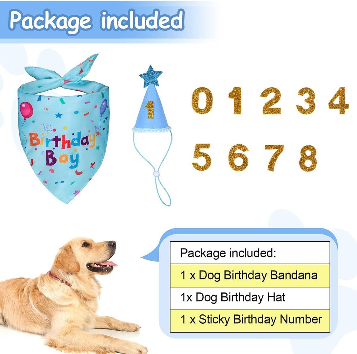 Blue Pet Birthday Bandana and Hat Set - Soft Cotton view 5