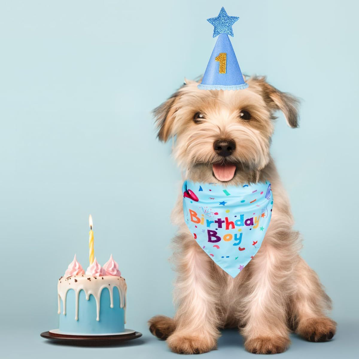 Blue Pet Birthday Bandana and Hat Set - Soft Cotton view 6