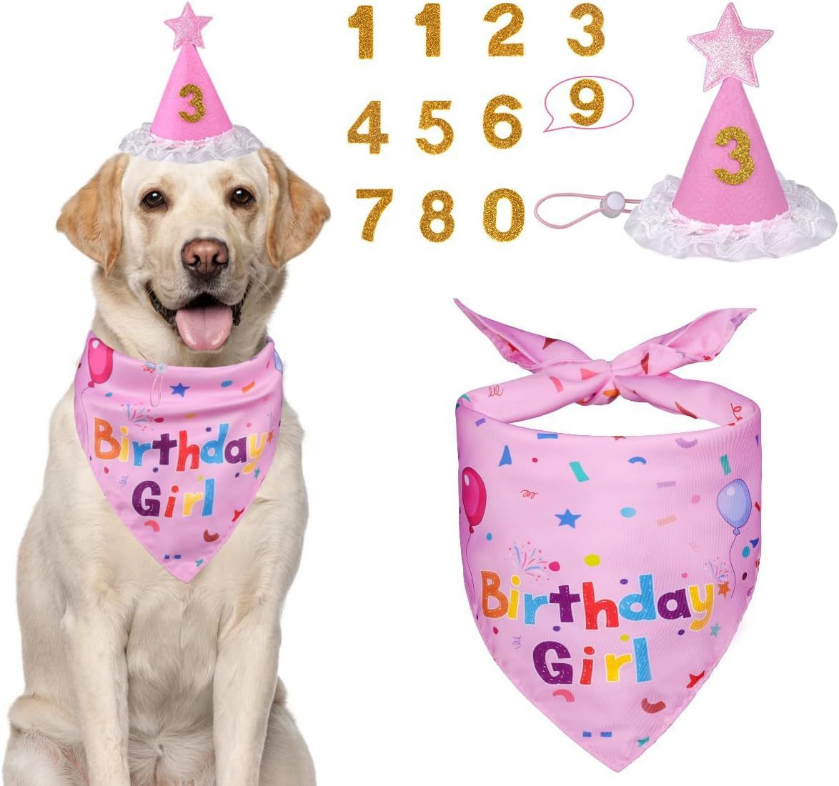 Pink Pet Birthday Bandana and Hat Set - Soft Cotton