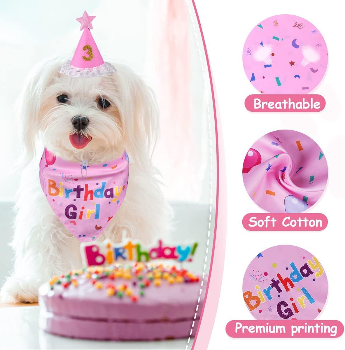 Pink Pet Birthday Bandana and Hat Set - Soft Cotton view 4