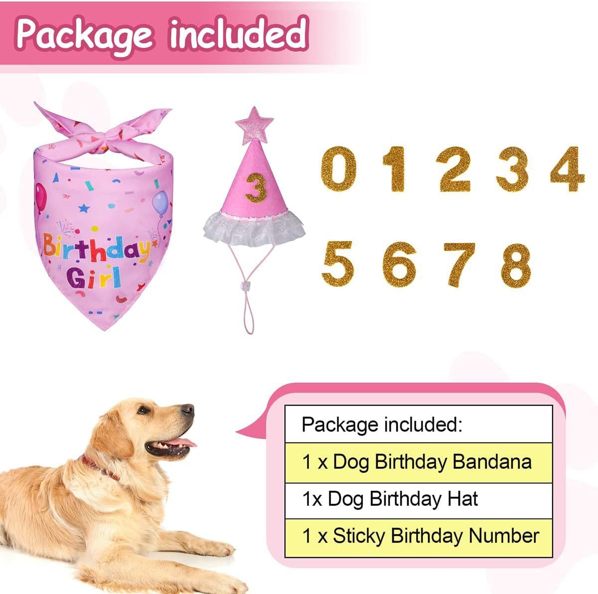 Pink Pet Birthday Bandana and Hat Set - Soft Cotton view 5