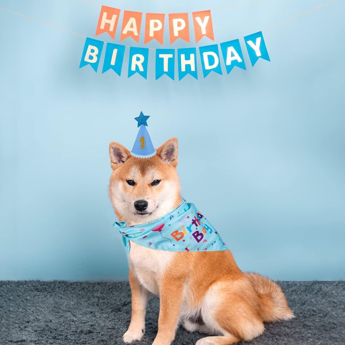Pink Pet Birthday Bandana and Hat Set - Soft Cotton view 8