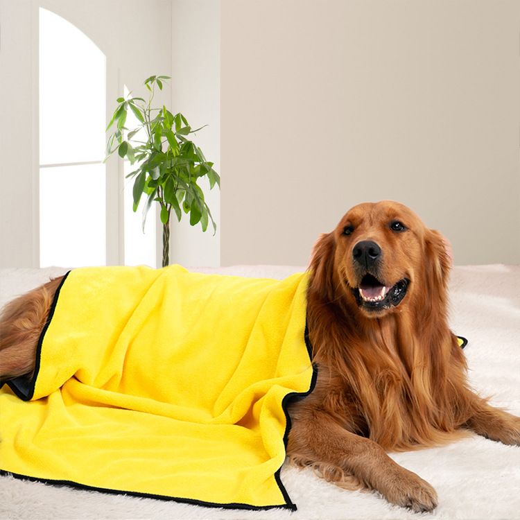 4-Piece Pet Cleaning Kit -Pet Grooming and Paw Cleaning Set with big Blue Dog view 7