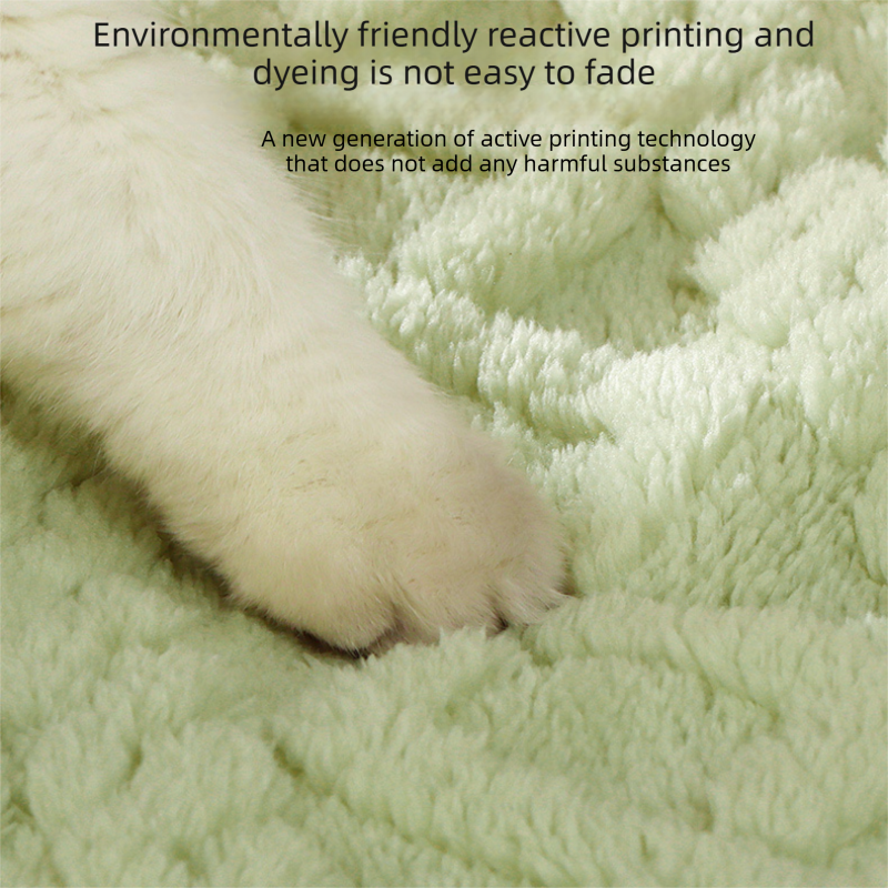 2-piece S size Green Pet Winter Comfort Bundle – 50*36cm Plush Pet Blanket and view 13