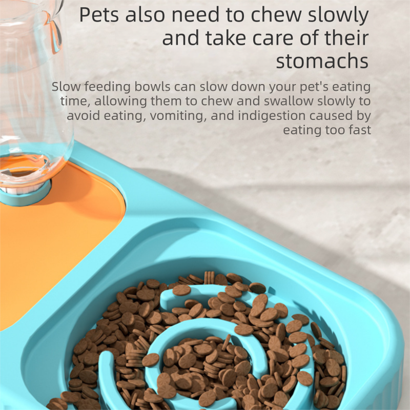 Yellow and Green Cat & Dog Feeding Station with Water Dispenser – Elevated view 5