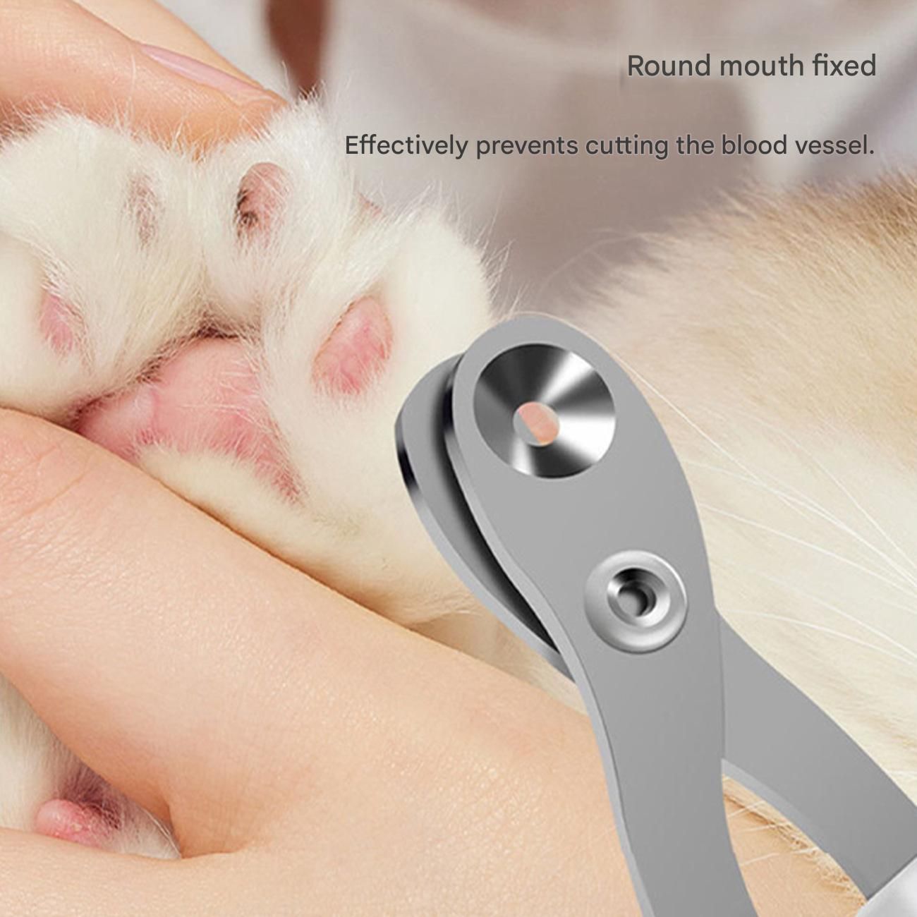 Siamese Cat Complete Cat Care Set - One-Touch Deshedding Brush view 7