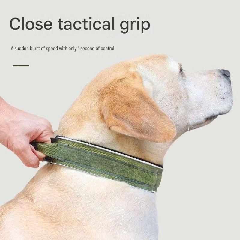 Blue Tactical Dog Collar for Large Dogs (XL size)- Wide Padded Nylon Collar view 6