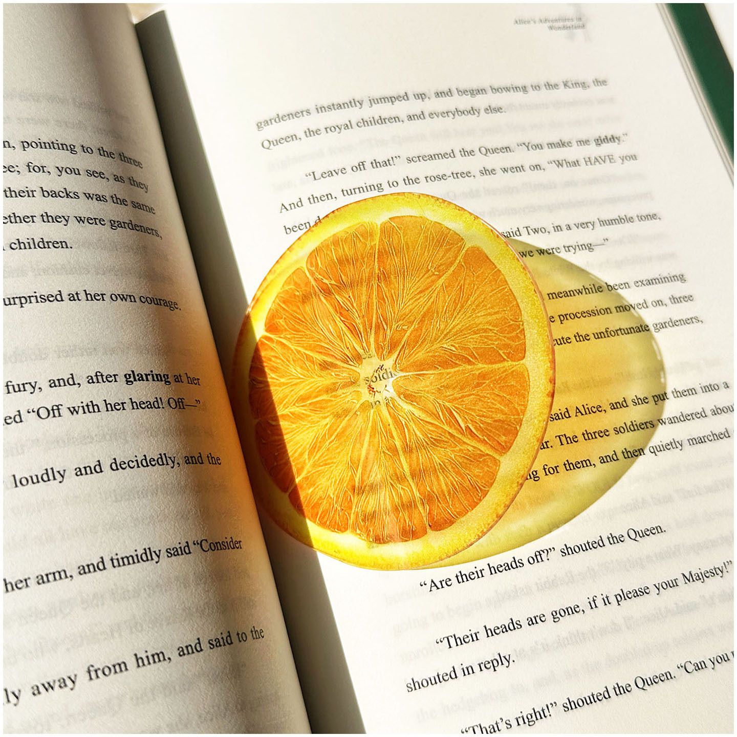 2PCS Cute Oranges Acrylic Bookmarks Fruit Transparent Reading Bookmarks view 3