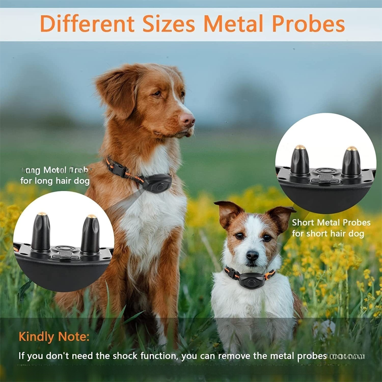 Rechargeable Dog Training Collar (2 Dog Set) - Waterproof Remote Anti Bark view 3
