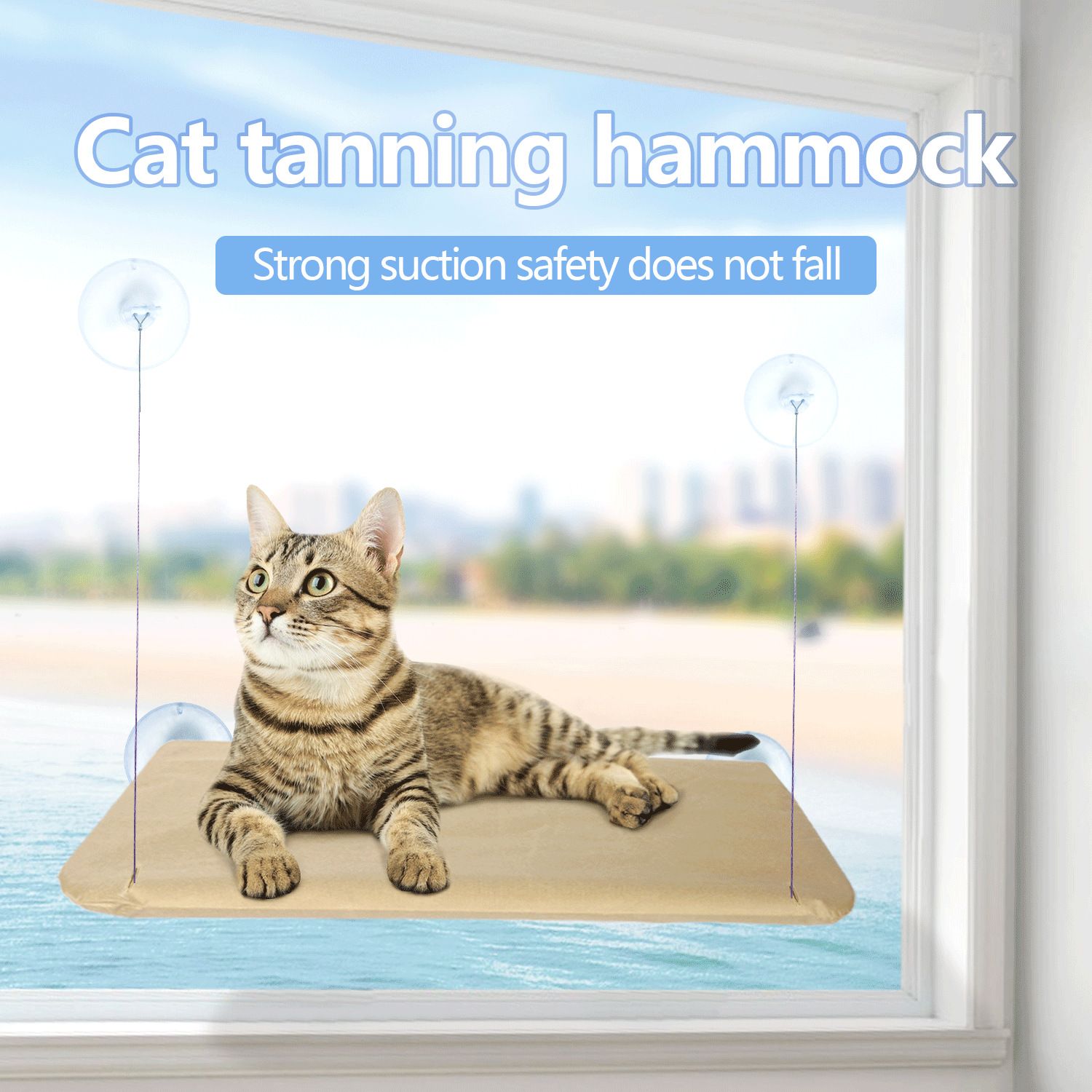 Blue Cat Window Tanning Hammock - 4 Strong Suction Cups & Durable Oxford view 2