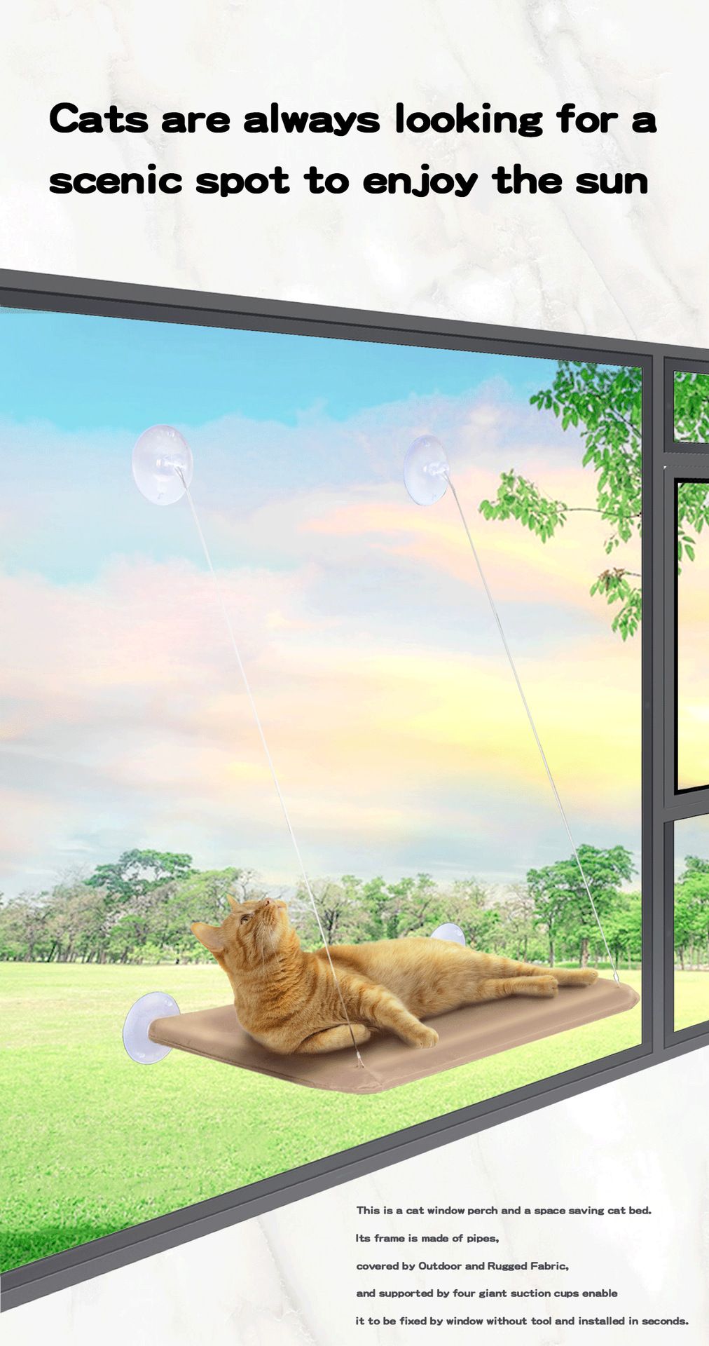 Blue Cat Window Tanning Hammock - 4 Strong Suction Cups & Durable Oxford view 7