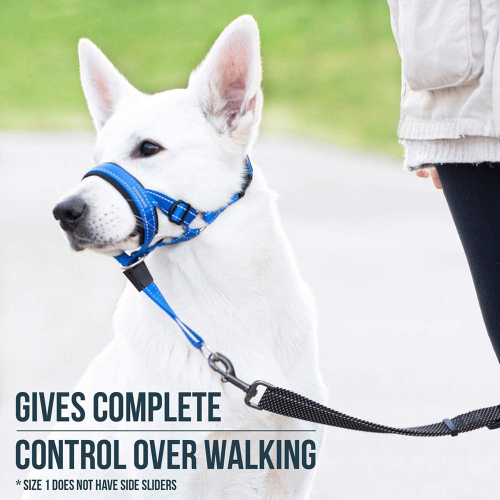 2PCS Blue Adjustable Dog Head Collar and Breathable Muzzle Harness Set (S view 5