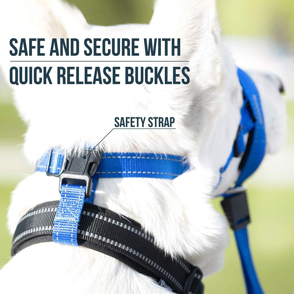M Size No-Pull Dog Walking Safety Combo Set - Adjustable & Breathable Muzzle view 4