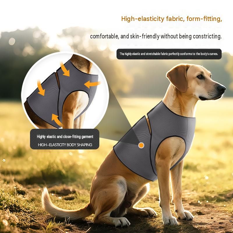 Blue L Size Dog Anxiety Relief Set - Breathable Mesh Calming Vest and Noise view 8
