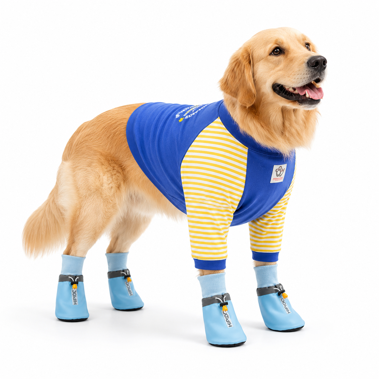 Blue 4XL Size Dog Protective Care Set - Polyester Elbow Sleeve — image 1