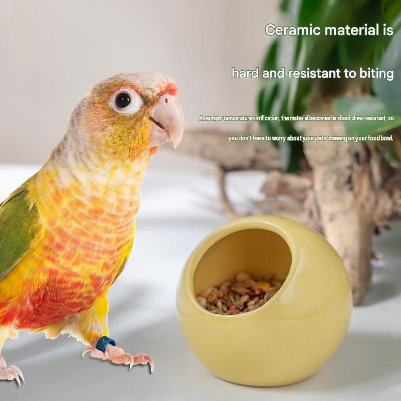 Anti-Splash Ceramic Parrot Feeder Bowl White（Pack of 1）- Gnaw-Resistant Bird view 3