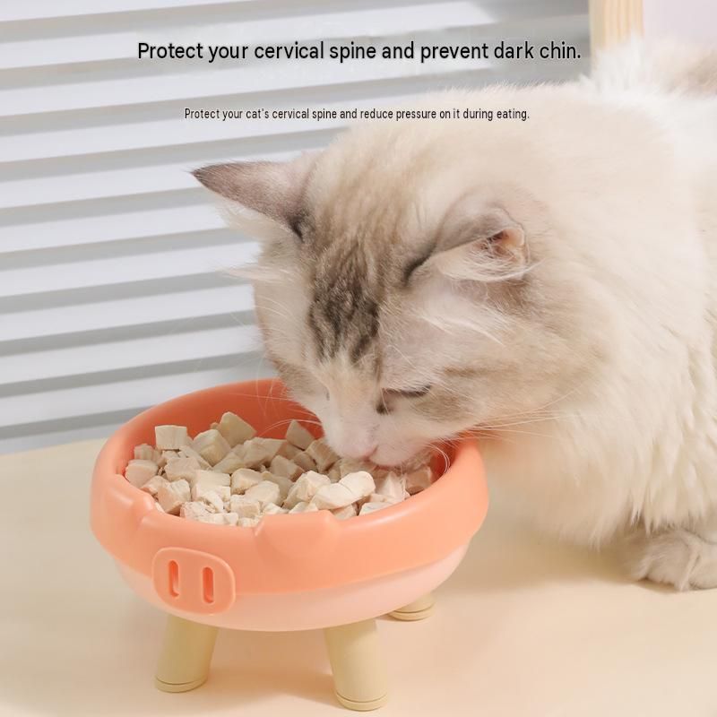 2 Pack Green Elevated Pet Food Bowl - Cute Pig Design Raised Feeder for Cats view 5