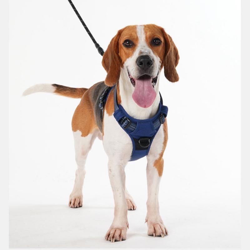 M size Blue No Pull Dog Harness and Leash Set - Reflective Oxford Fabric Puppy view 11