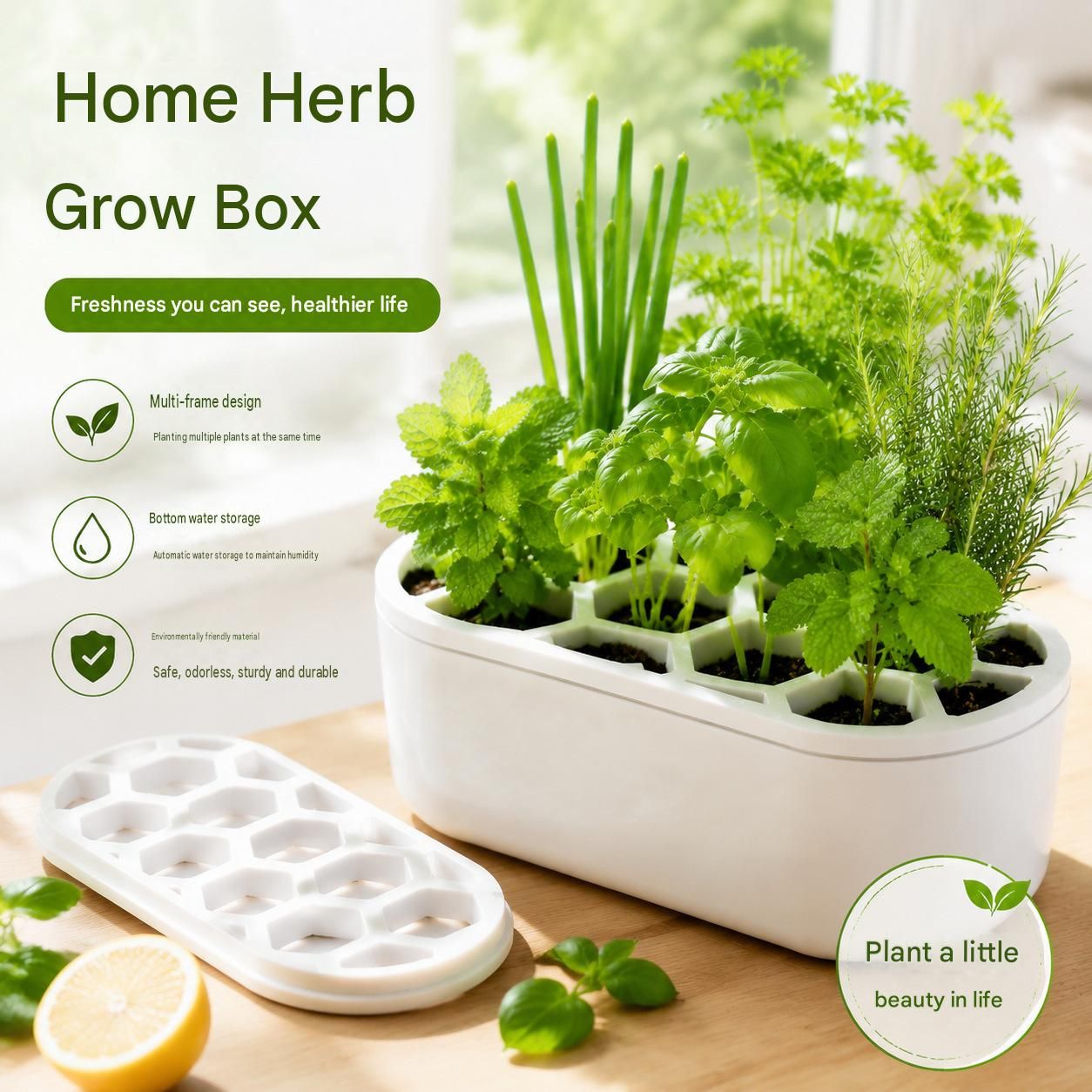4-pack White Hexagonal Hydroponic Regrowth Kit - 12*6*3cm PP Self-Watering view 3