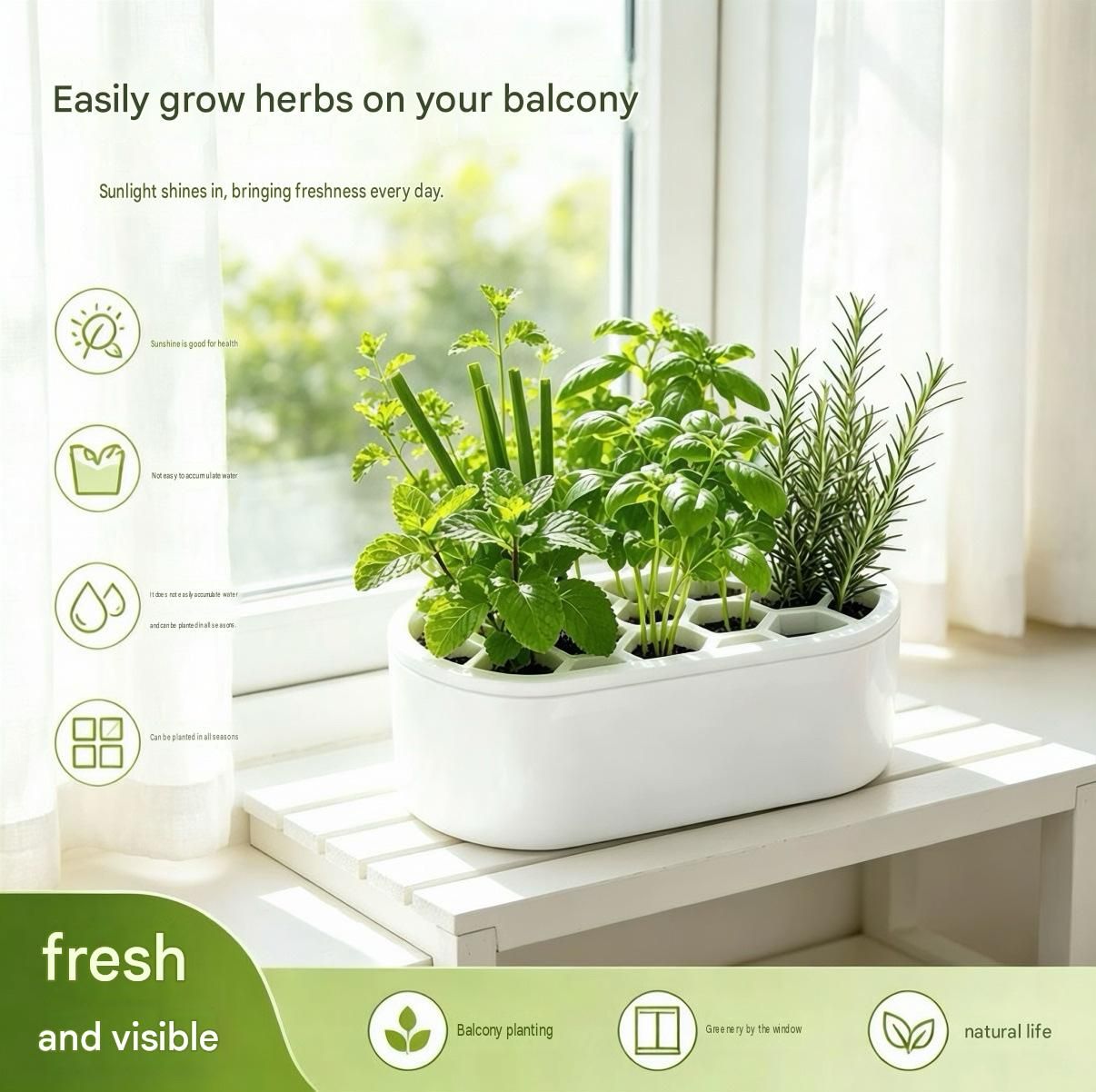 4-pack White Hexagonal Hydroponic Regrowth Kit - 12*6*3cm PP Self-Watering view 4