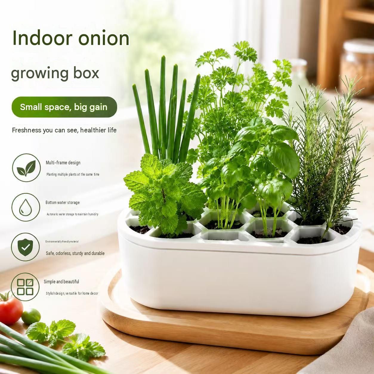 4-pack White Hexagonal Hydroponic Regrowth Kit - 12*6*3cm PP Self-Watering view 5
