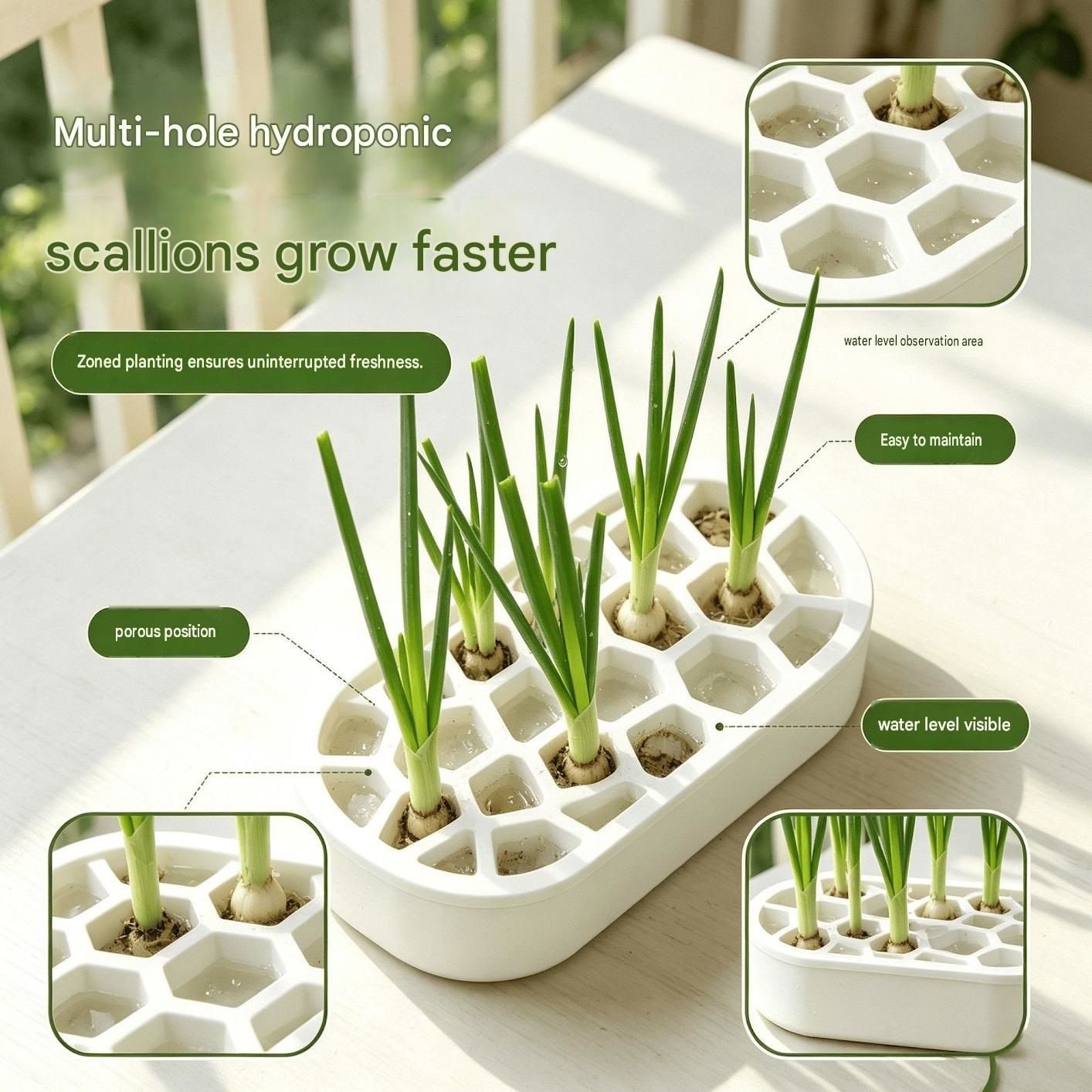 4-pack Black Hexagonal Hydroponic Regrowth Kit - 12*6*3cm PP Self-Watering view 7