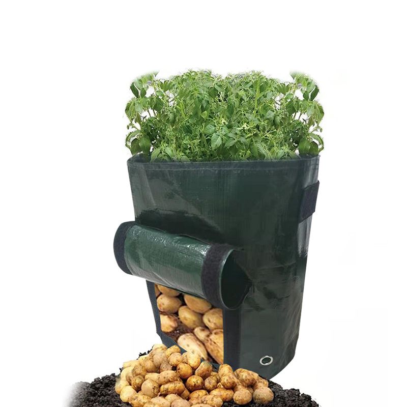 2 PCS Potato Growing Bags 23 x 28cm – Durable PE Planting Containers with Side view 4