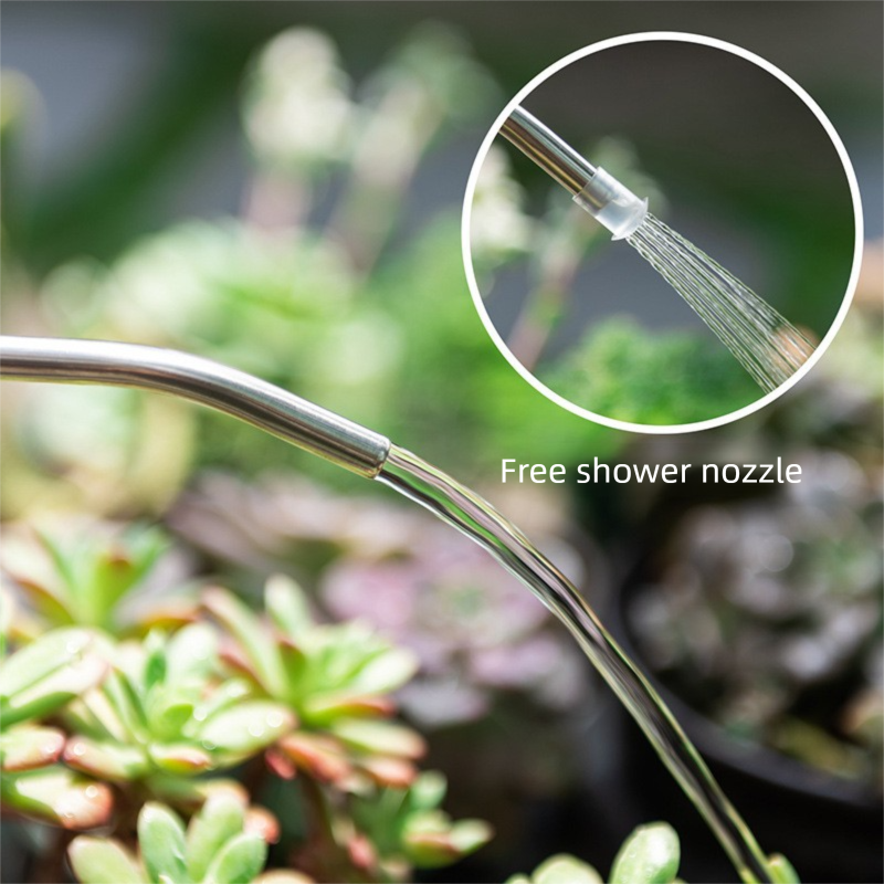 2L Gray Long Spout Watering Can with Shower Head - Clear Plastic Indoor Plant view 4