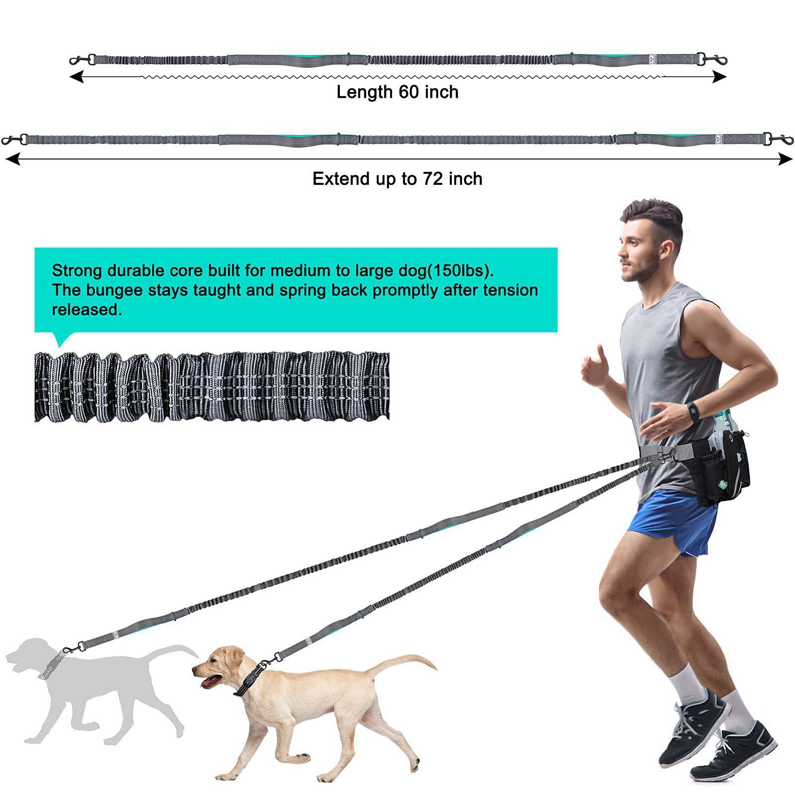 Hands Free Dog Leash Running Belt with Adjustable Bungee Lead(Mint green) view 3