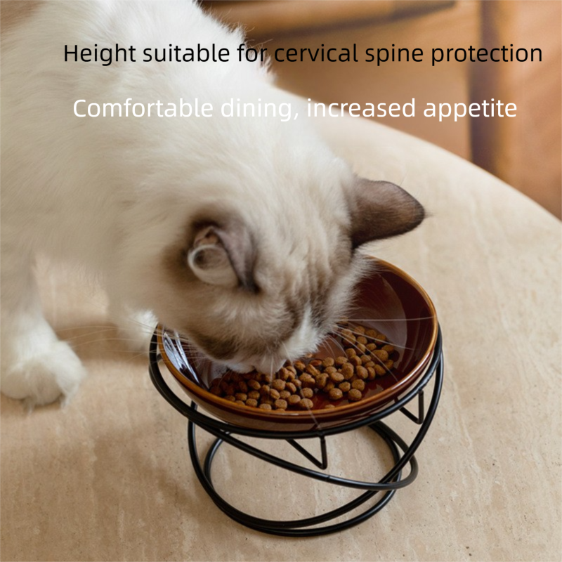 Raised Ceramic Pet Bowl with Metal Stand Brown - Paw Print Cat and Dog Feeding view 3