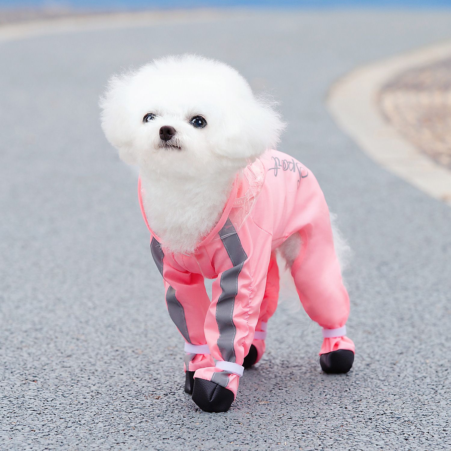 Pink Full Body Dog Raincoat with Waterproof Boots and Clear Visor Hood (M) view 2