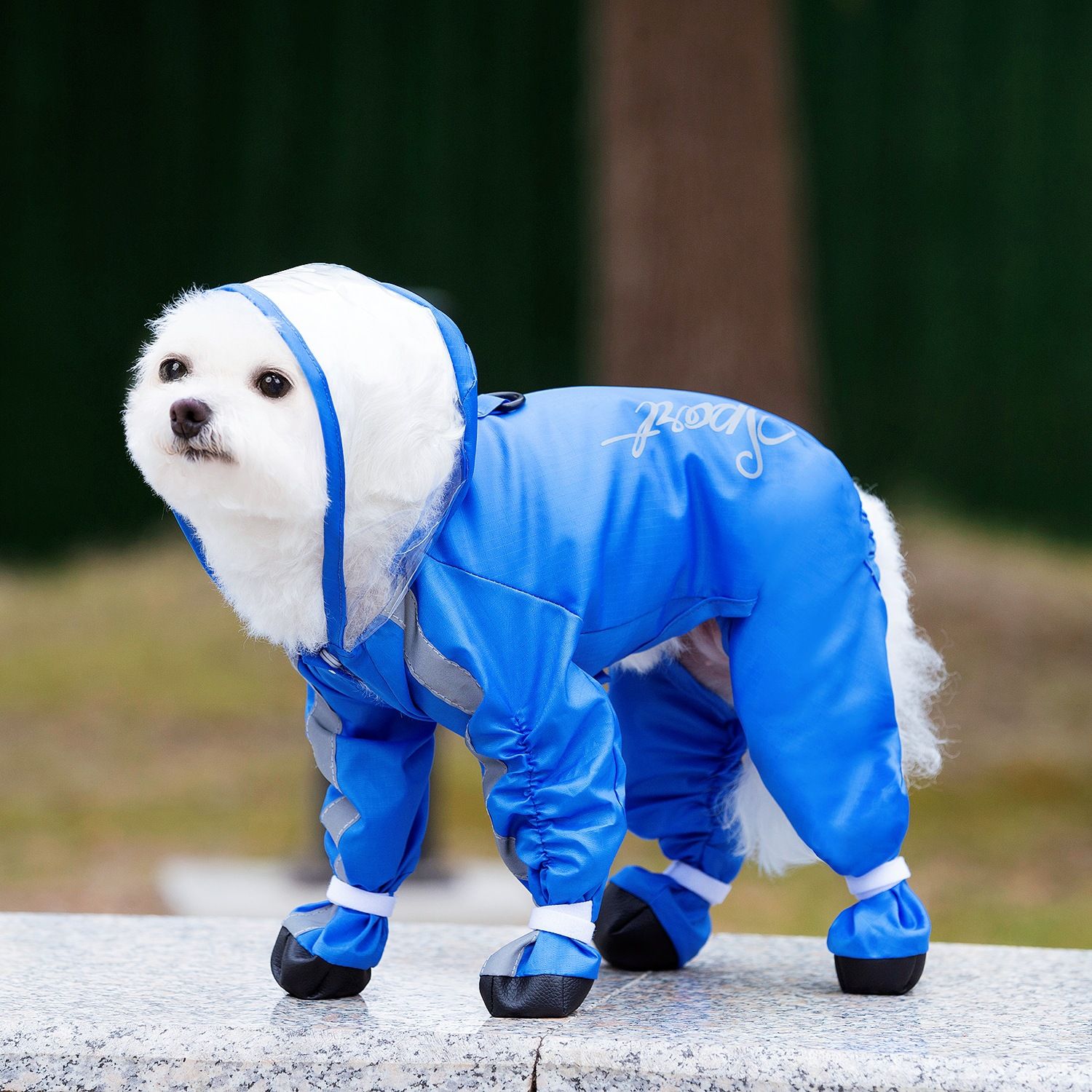 Blue Full Body Dog Raincoat with Waterproof Boots and Clear Visor Hood (S) view 3