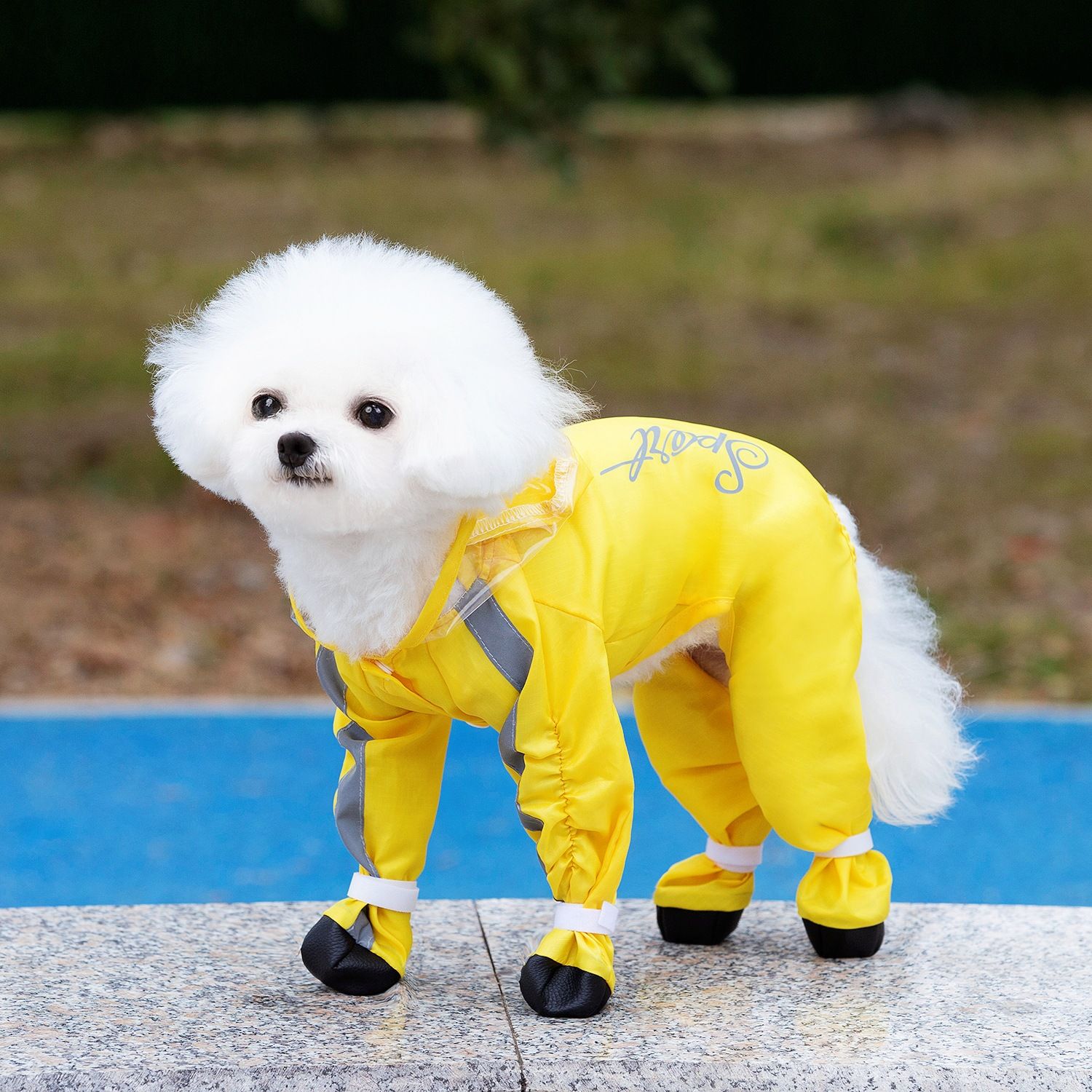 Yellow Full Body Dog Raincoat with Waterproof Boots and Clear Visor Hood (XL) view 3