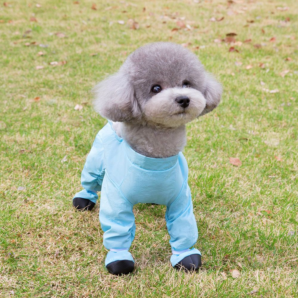 Blue Size M Four-Leg Dog Rain Suit with Paw Covers - Waterproof Pet Jumpsuit view 2