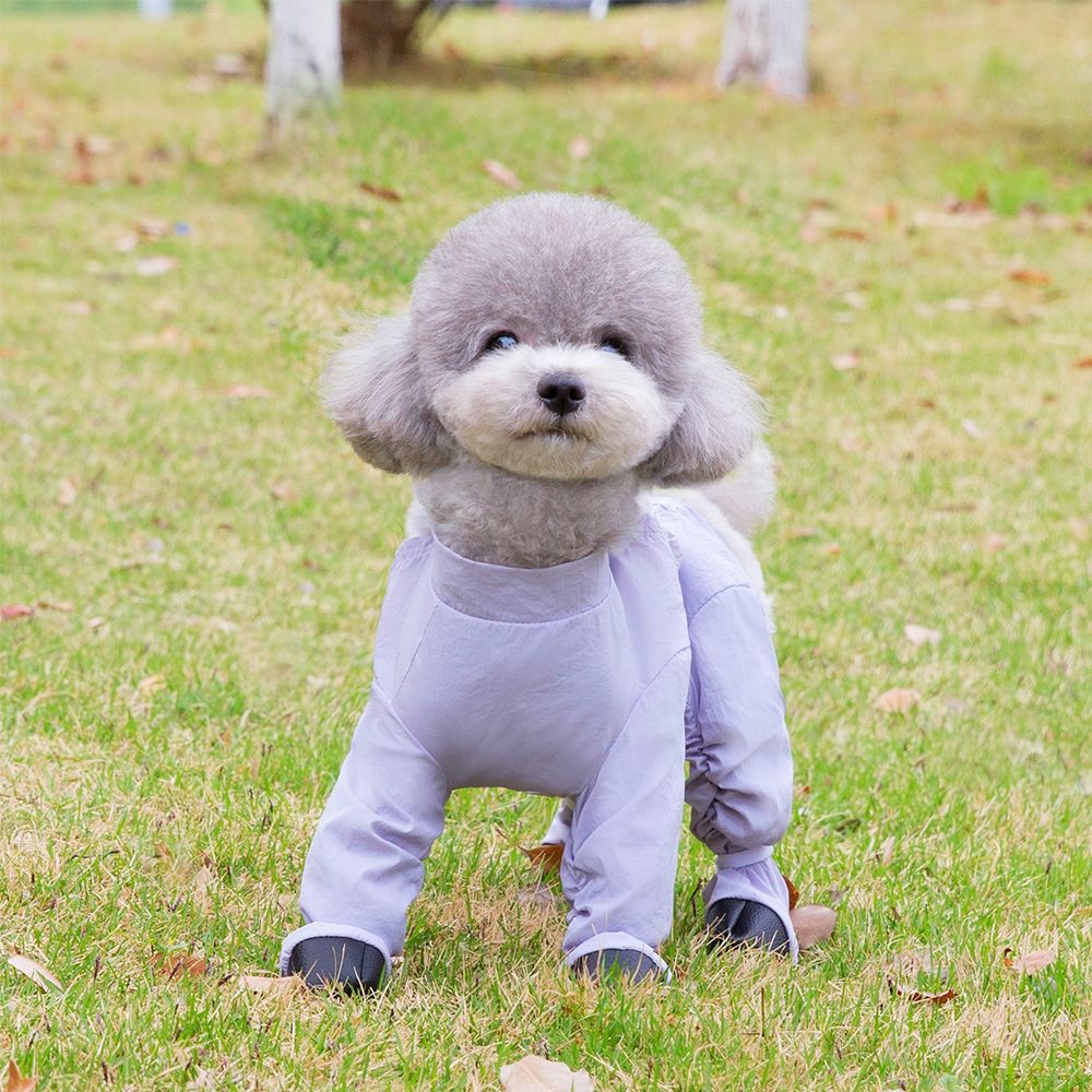 Purple Size S Four-Leg Dog Rain Suit with Paw Covers - Waterproof Pet Jumpsuit view 3