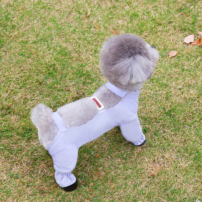 Purple Size XL Four-Leg Dog Rain Suit with Paw Covers - Waterproof Pet view 2
