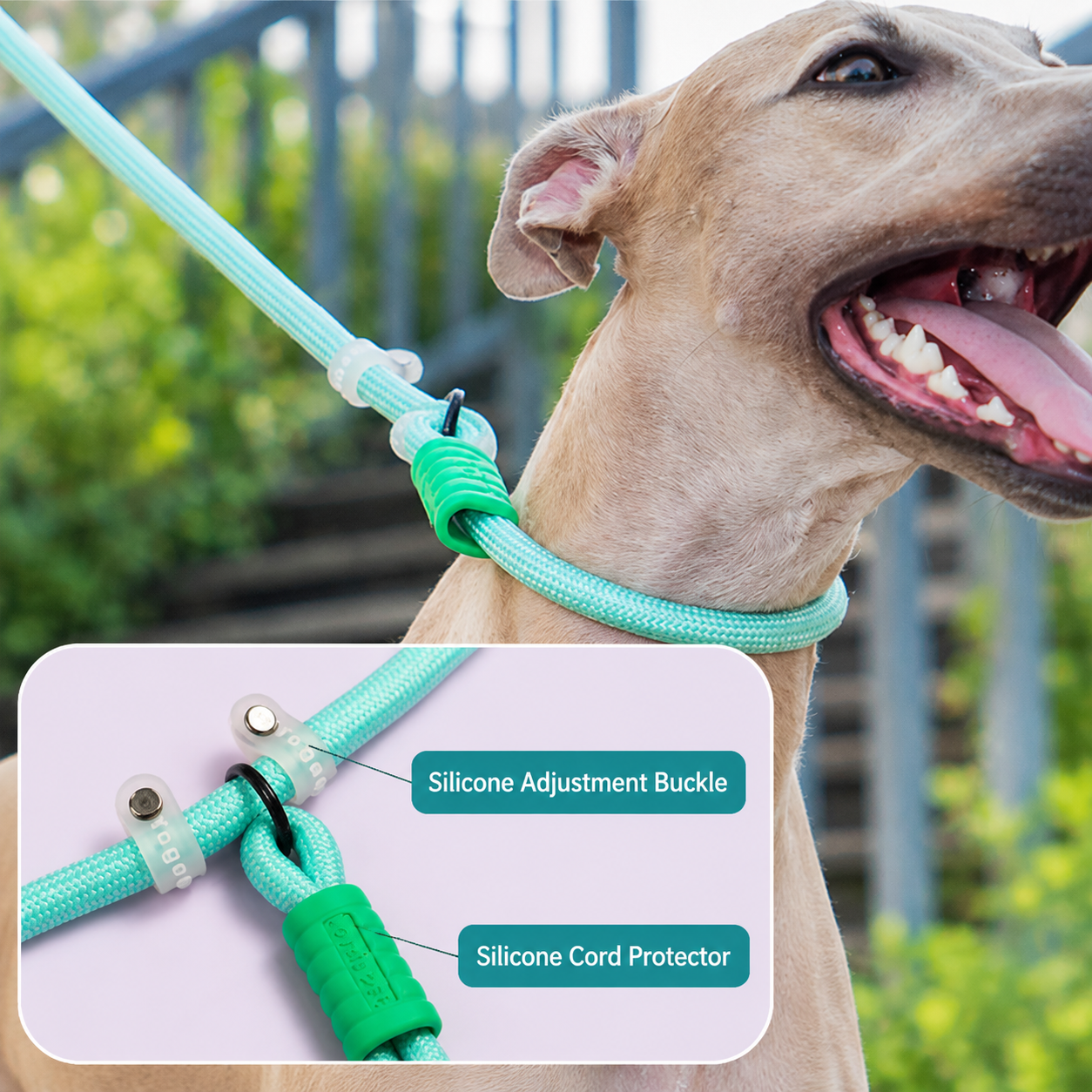 Orange Double Dog Leash and Collar Set - Braided Rope Dual Lead with Padded Handle view 4