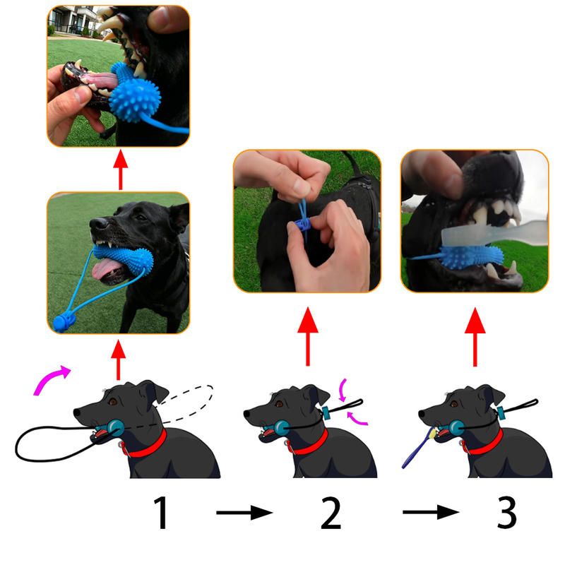 Dog Dental Chew Toy and Finger Brush Set - 15cm Blue Hands Free Chew Toy with view 4